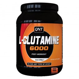 QNT LGLUTAMINE Glutamine QNT Sport