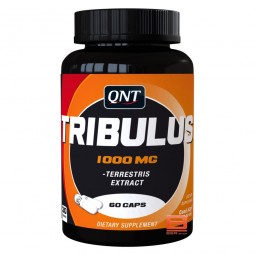QNT TRIBULUS Stimulateur Hormonaux