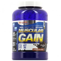 BSA Nutrition MUSCULAR GAIN 2KG Gainer 85% BSA NUTRITION