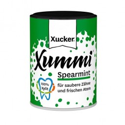 CHEWING GUM SANS SUCRE XUCKER Snack
