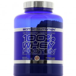 SCITEC 100% WHEY PROTEIN Construction musculaire SCITEC NUTRITION
