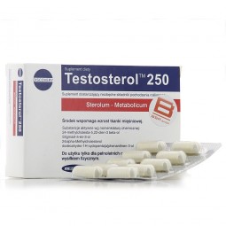 MEGABOL TESTOSTEROL 250 Construction musculaire MEGABOL