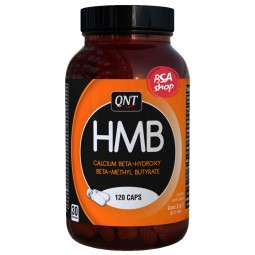 QNT HMB