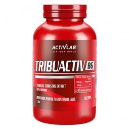 ACTIVLAB TRIBUACTIV B6
