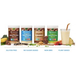 AMAZING GRASS PROTEIN SUPERFOOD