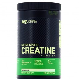 OPTIMUM NUTRITION MICRONIZED CREATINE POWDER